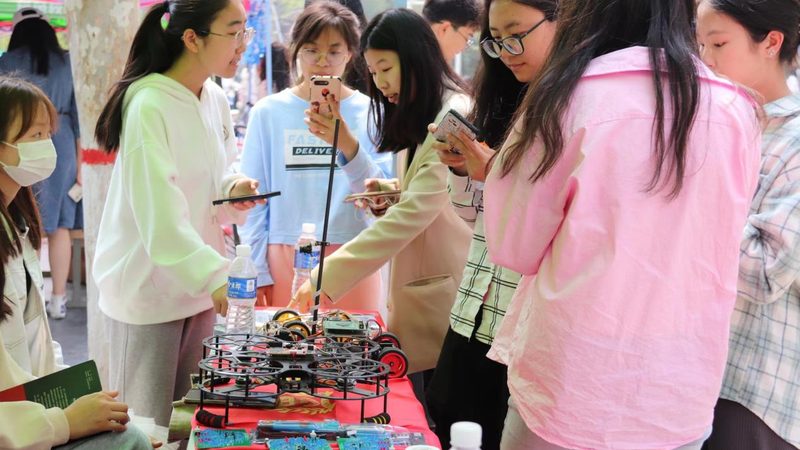 动态数据可视化的关键技术实现路径